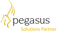 Pegasus Partner